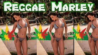 LIVE REGGAE MUSIC- música reggae en vivo musicas reggae ao vivo - 0001