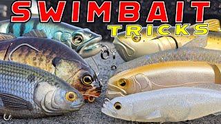 Spring Swimbait Fishing Made Easy! (Seminar For Beginner And Advanced Anglers)