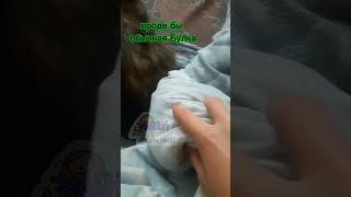 вроде бы обычная Булка... #лето #shorts #неикея #икея #Нюся #Булка #прикол