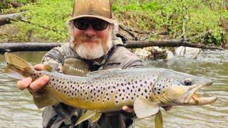 Spin Fishing for Big PA Brown Trout #fishing #trout #streamer