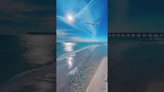 Winter on the Emerald Coast #shorts #short
