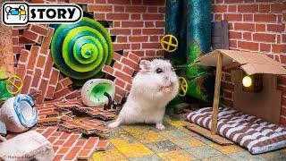  Hamster Escapes the Underground Maze - Metro  Homura Ham Pets