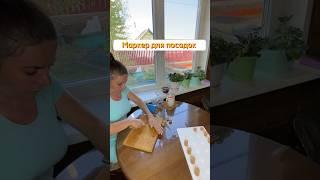 Нашла классное применение пробкам от бутылок. Теперь посадки ровные, одна к одной