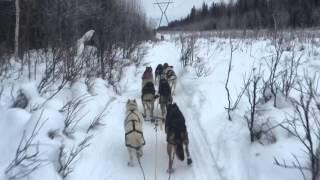 Mushing commands