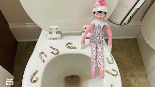MY ELF WON'T LET ME GO POTTY HELP!