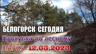 4К.Крым Сегодня.Белогорск.Прогулка по лесному парку.12.03.2023