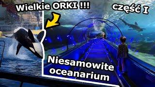 Głaskamy DELFINA w Oceanarium !!! - Pokaz Wielkich OREK w Marineland - Antibes * Część 1 (Vlog 655)