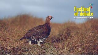 The Peak District: Nature Impoverished