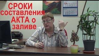 Сроки составления Акта о заливе. Выпуск №4 Спроси у эксперта.