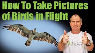 How To Take Pictures Of Birds In Flight - Best Settings For Nikon