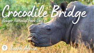 Kruger Park Day 5: when we met the python and found the rhino | Crocodile Bridge | Expedition Wild