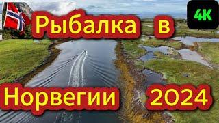 Второй день Незабываемой рыбалки в Норвегии, остров Vandve Norwegen 4K