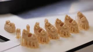 Primeprint: Streamlined Dental 3D Printing Made Easy