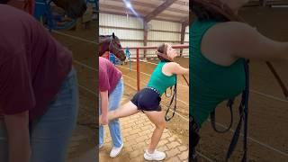 Old Vs Young Horses!  #shorts #animals