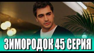 Зимородок 45 серия на русском языке. Новый турецкий сериал