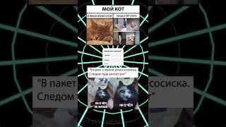 #мем #мемы #смешно #мило #кот #коты #шортс #тупомемы