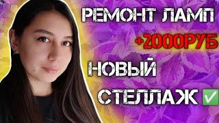 СЭКОНОМИЛИ 2000руб отремонтировали лампы, новый стеллаж, тепличка для посевов.