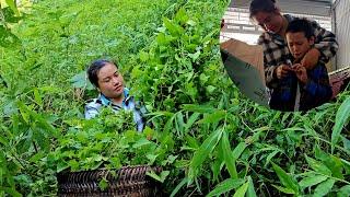 Dinh went into the forest alone to pick vegetables to sell to get money to buy clothes for Thien.