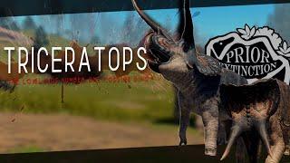 Playing as the Triceratops, the number one lowlands killer.. | Prior Extinction ROBLOX