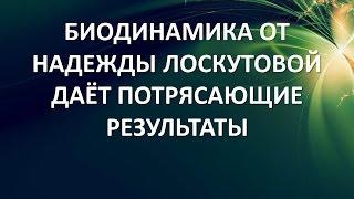 Семинар Соматическая Биодинамика Надежды Лоскутовой дает потрясающие результаты