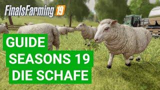 LS19 Seasons - Ohne Schafe ist alles doof? (Komplexer als ich dachte!)  [MOD: Seasons 19]