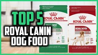  Top 5 Best Royal Canin Dog Food Reviews 2024