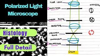 Polarising Microscope |Histology |Bancroft |Lecture 6