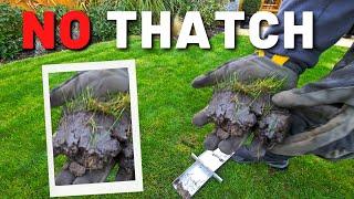 Why I have NO THATCH in My Lawn