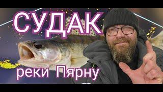 Судак реки Пярну | Zander Ice Fishing in Pärnu River