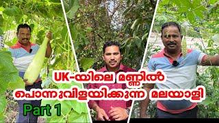 Vegetable harvesting in back garden ll Tour the Britain Malayalam ll Manu Joseph ll