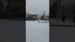 #눈#snowrunner#snow#雪#winter