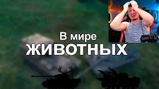 БЛАДИ СМОТРИТ World of Tanks Приколы #110 (В Мире Животных)