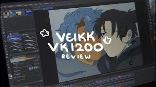 My first “”chill”” review video [Veikk VK1200]