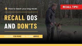 Recall DOS and DON'TS - How to teach your dog RECALL