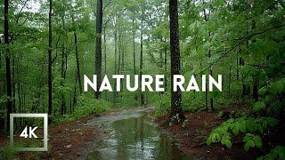 Relaxing Rainfall and Thunder, Walking in the Rain ASMR, Nature Sounds for Sleep and Study