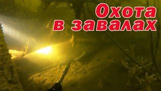 СОМ! СУДАК! ЩУКА!!! ПОДВОДНАЯ ОХОТА НА ВЕЛИКОМ ДНЕПРЕ!!!