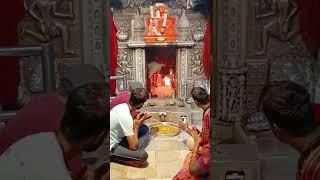 karni mata temple, bikaner#temple#rajasthan #official#rajasthani#karnimatakarni#karni#karnimata