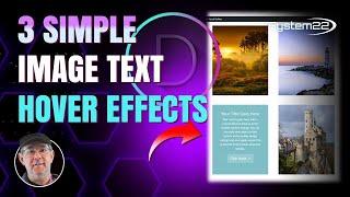 Divi Theme Image Text Hover Effects You Never Knew About 