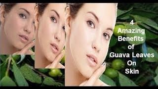 Guava Leaves For Skin It's Amazing | Natural Treatment & Home Remedies