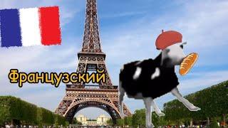 Польская корова на разных языках / Polish cow in different languages