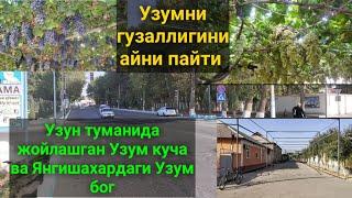 Узун тумани Республикада 1 та куча ва УЗУМ бокка саёхат.