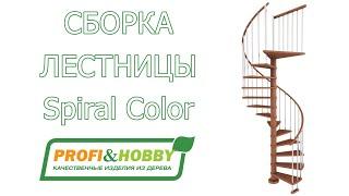 Сборка винтовой лестницы Profi&Hobby Spiral Color