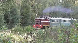 Aluksne - Gulbene Narrow Gauge Railway, 15.07.2023