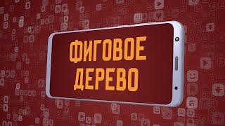 «Фиговое дерево». Киножурнал «Вслух!». Молодёжный сезон. Выпуск 11. 12+