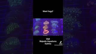 #aquariumfish #fishaquarium