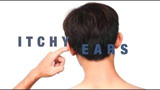 Itchy Ears with Dr. Anna Aronzon