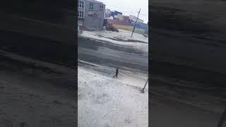 29 апреля 2024 г.
