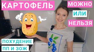 Сколько картофеля можно на похудении. Можно ли картофель фри, пюре, отварную, запеченную картошку.