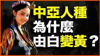 宗教由黄变绿，但人种却由白变黄！伊斯兰化后，中亚人种为何巨变？
