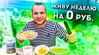 КАК ПРОЖИТЬ ВСЮ НЕДЕЛЮ НА 0 РУБЛЕЙ?!